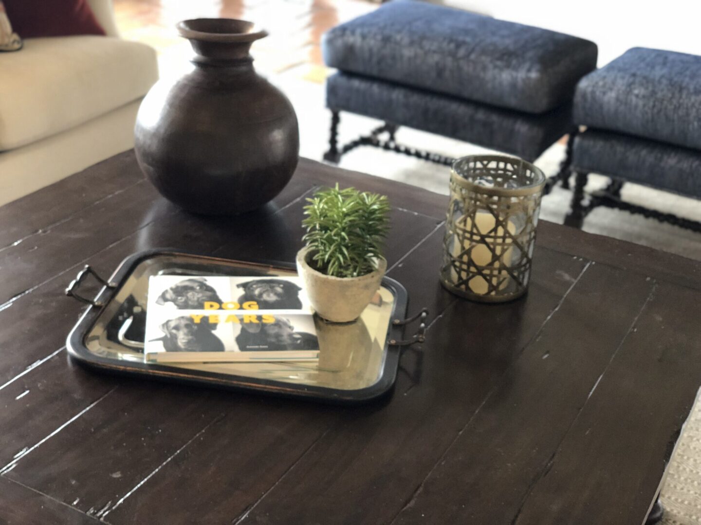Coffee table with tray, potted plant, candle
